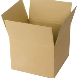 Caja de Cartón (Pequeña)
